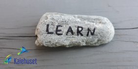 En stein med teksten "learn" skrevet på den.